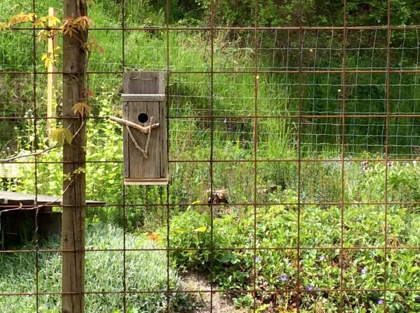 Bergliot Bed & Breakfast Hundested Exterior foto